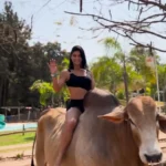 0919(3)-Cover copiar