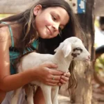 ranchos 30 - lazer (15)